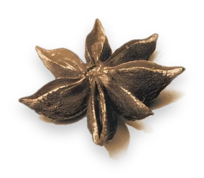 Sternanis