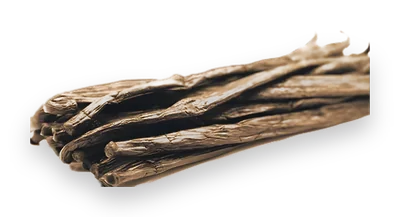 Vanille